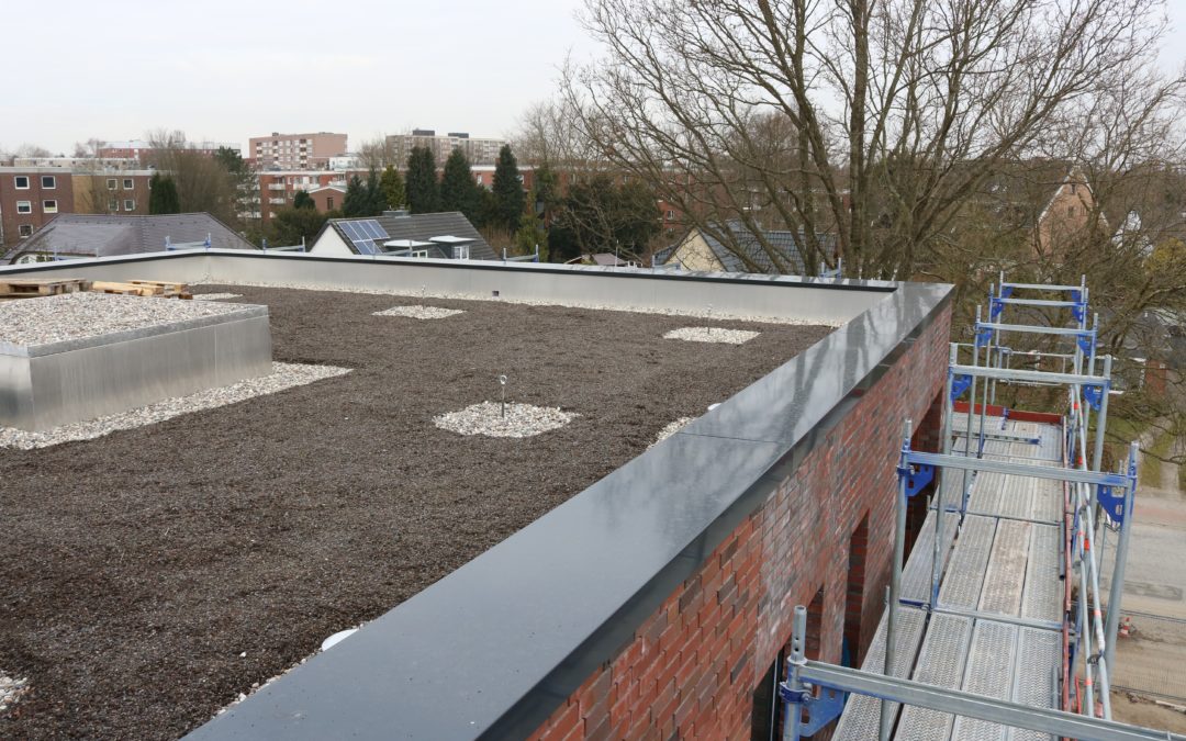 Flachdach sanieren: So entsteht ein begrüntes Flachdach