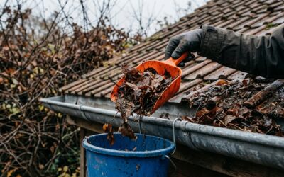 Dachrinne reinigen vor dem ersten Frost im Herbst